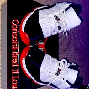 Concord-Bred Jordan 11 Lows